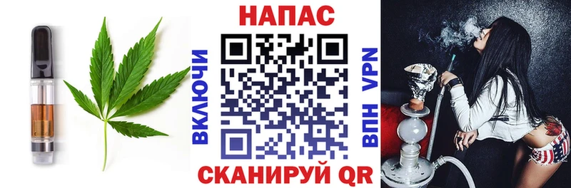 Cannafood конопля  закладки  Кинешма 