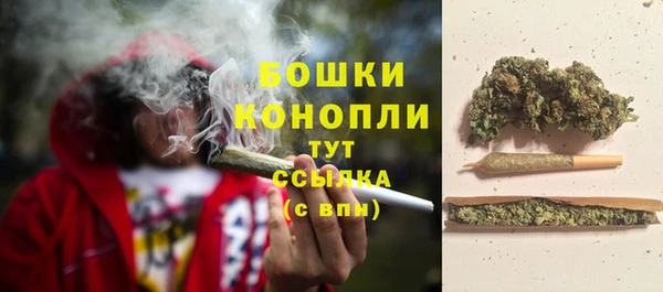 ГАЛЛЮЦИНОГЕННЫЕ ГРИБЫ Верхний Тагил