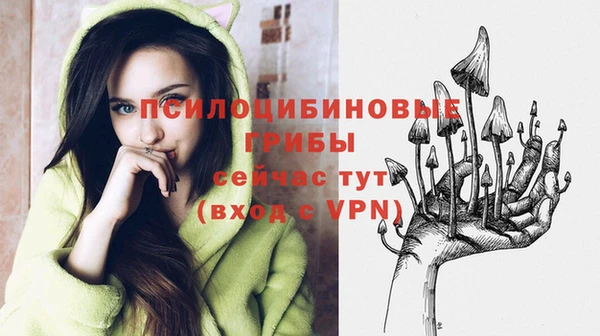 ГАЛЛЮЦИНОГЕННЫЕ ГРИБЫ Верхний Тагил