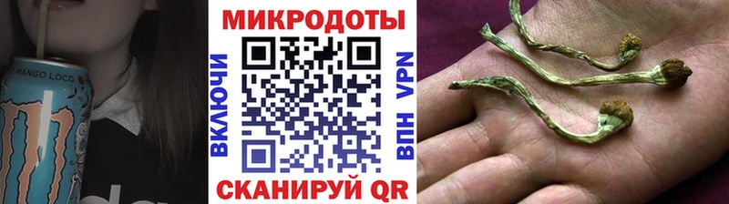 блэк спрут   Кинешма  Галлюциногенные грибы Cubensis 